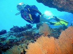 "Coral Caves"

Nice clear deep water caves filled with ... by Nicolas Pohl 